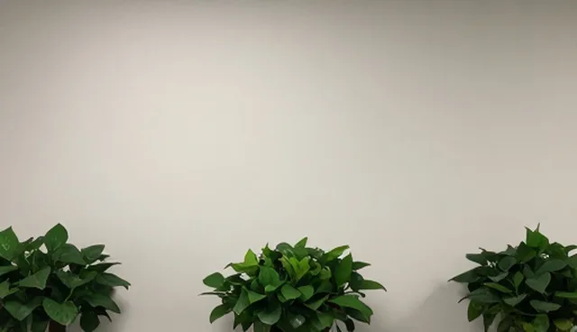 系统稳定性常见误区与正确维护建议